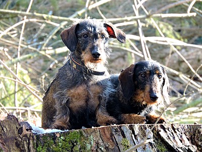 Doni und Leni neu_400px