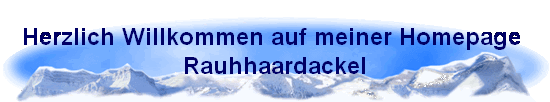 Herzlich Willkommen auf meiner Homepage 
Rauhhaardackel